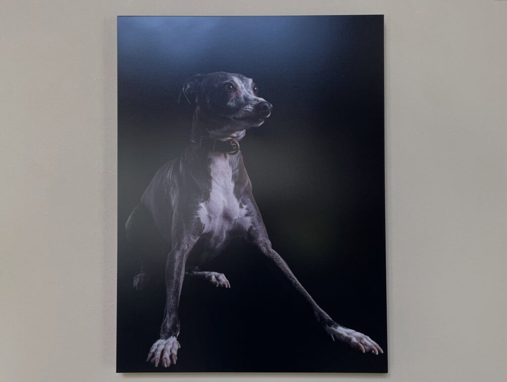 愛犬を描いたBowtraitのアートを飾ったリビング