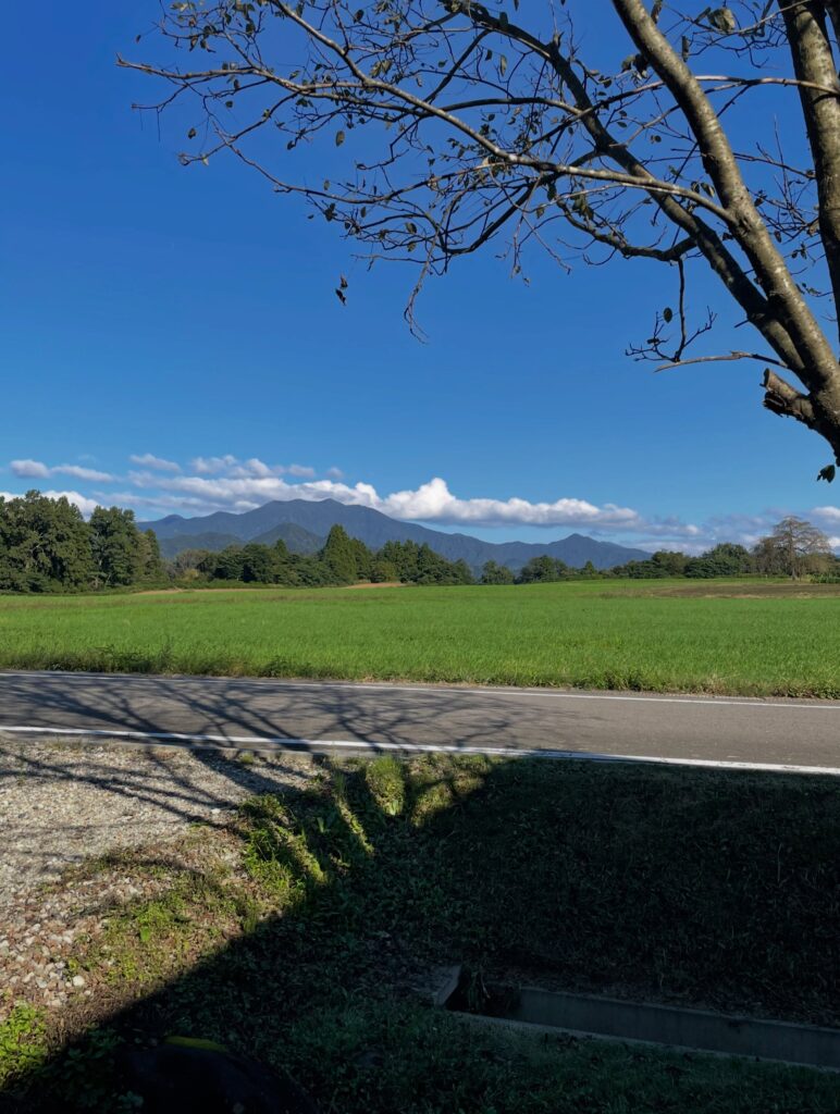 三条市旧下田村のyamaga coffeeの窓越しに広がる草木と山々